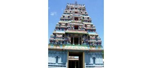 142. திருச்செங்காட்டங்குடி
